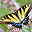 Butterflies of North America Screen Saver and Wallpaper 3.3 32x32 pixels icon