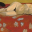 Art of Matisse 1.0 32x32 pixels icon