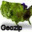 Geozip 1 Geozip 1 32x32 pixels icon