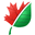 ImageConverter Plus 8.0.94 ImageConverter Plus 8.0.94 32x32 pixels icon