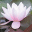 Magic Sharpener 2.0 Magic Sharpener 2.0 32x32 pixels icon