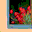NDPortfolio 1.00 NDPortfolio 1.00 32x32 pixels icon