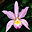 Orchids Screen Saver and Wallpaper 3.3 32x32 pixels icon