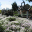 Rotary Gardens Screen Saver 1.01 32x32 pixels icon