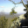 SKWAlabamaFallScreenSaver 1.0 SKWAlabamaFallScreenSaver 1.0 32x32 pixels icon