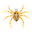 Spider Web 1.4.2 32x32 pixels icon