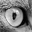 pixelCAT 1.00 pixelCAT 1.00 32x32 pixels icon
