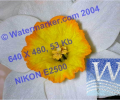 AiS Watermarker ActiveX Скриншот 0