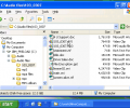 Alive File Encryption Скриншот 0