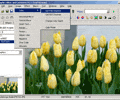 Amazing Graphic Editor Скриншот 0