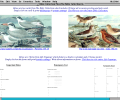 Bible Collection Plus Скриншот 0