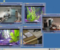 Capturix VideoSpy Скриншот 0