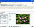 CoffeeCup PixConverter Скриншот 0