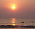 Dazzling Daytona Sun Screensaver Скриншот 0