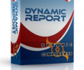 DC Dynamic Report Скриншот 0