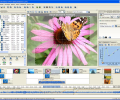 AquaSoft DiaShow XP five Скриншот 0