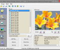Easy Web Gallery Builder Скриншот 0