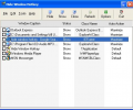 Hide Window Hotkey Скриншот 0