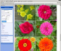 ImageExtractor Скриншот 0