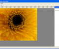 Imagination Image Map Editor Скриншот 0