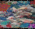 Liquib (64-bit) Скриншот 0