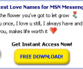 Love MSN Names Скриншот 0