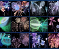 MBSS Fireworks Скриншот 0