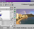 Multimedia Manager Скриншот 0