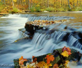 Autumn Screen Saver and Wallpaper Скриншот 0