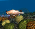 OceanDive Скриншот 1