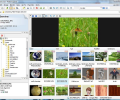 P3dO Explorer Скриншот 0