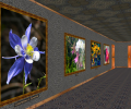 Phota Flowers Screensaver Скриншот 0
