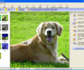 Photolightning photo software Скриншот 0