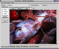 Pixel Grease - Easy Image Editor Скриншот 0