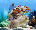 FP :: Amazing 3D Aquarium ADD-on  :: Chaetodont II - Fish Pack Скриншот 0