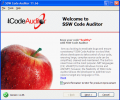 SSW Code Auditor Скриншот 0