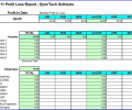 Profit Loss Report Spreadsheet Screenshot 0