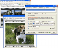 TZO Dynamic DNS Client with Photo Sharing Скриншот 0