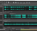 Wavepad Audio and Music Editor Pro Скриншот 0