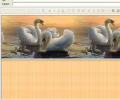 Wings II Email Stationery Скриншот 0