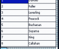 Smart Database Viewer(Access,Excel,Oracle) Скриншот 0