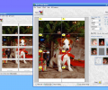 Wall Photo Maker Скриншот 0