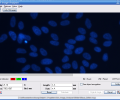 GSA Image Analyser Скриншот 0