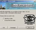 MSU StegoVideo Скриншот 0