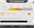 Perfect Sound Recorder Скриншот 0