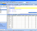 Oraspeed SQL Editor Скриншот 0