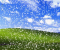3D Snow Screensaver Скриншот 0