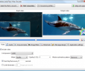 Mediaccurate Flash Video Encoder Скриншот 0