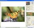 Image Repainter Скриншот 0