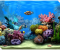 Living Marine Aquarium Скриншот 0